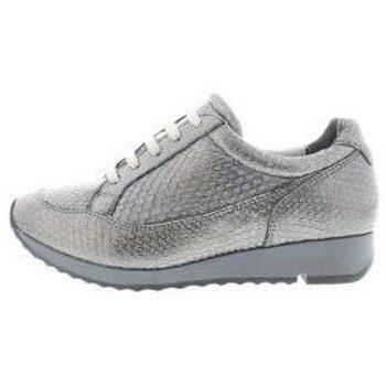 Sneakers Jj Footwear 508 Accel H