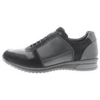 Sneakers Solidus Harry G
