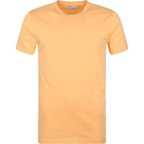 T-shirt Colorful Standard Organisch T-shirt Licht Oranje