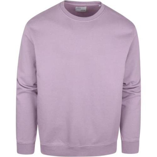 Sweater Colorful Standard Sweater Organic Paars