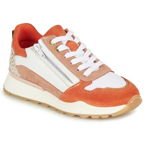 Lage Sneakers Bullboxer -