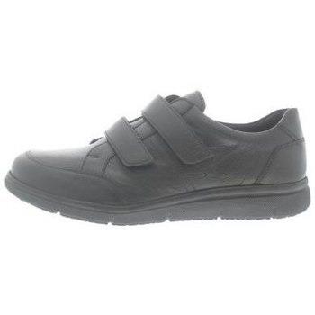 Sneakers Solidus Hardy K