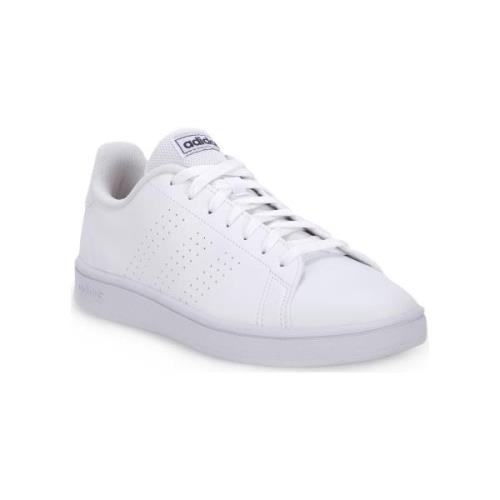 Sneakers adidas ADVANTAGE BASE