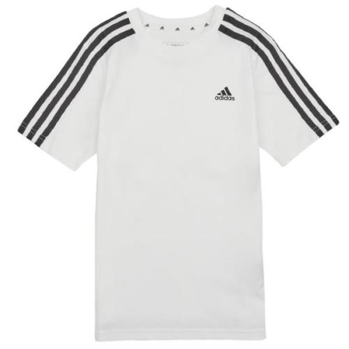 T-shirt Korte Mouw adidas 3S TEE