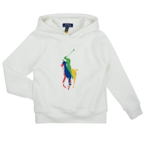 Sweater Polo Ralph Lauren PO HOOD-KNIT SHIRTS-SWEATSHIRT