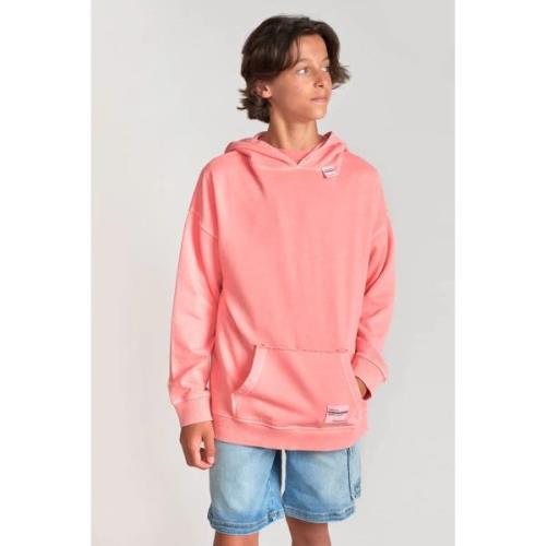 Sweater Le Temps des Cerises Sweater met capuchon ANIBO