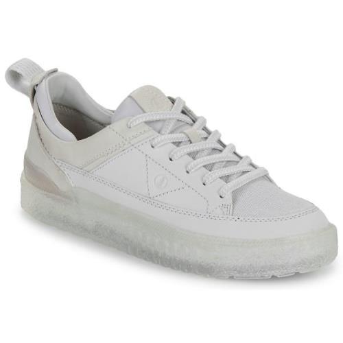 Lage Sneakers Clarks SOMERSET LACE