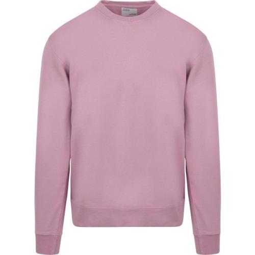 Sweater Colorful Standard Sweater Paars