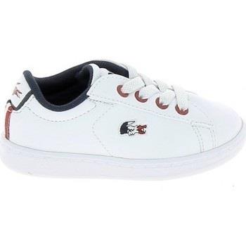Sneakers Lacoste Carnaby Evo BB Blanc Bleu Rouge