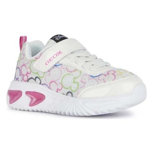 Lage Sneakers Geox -