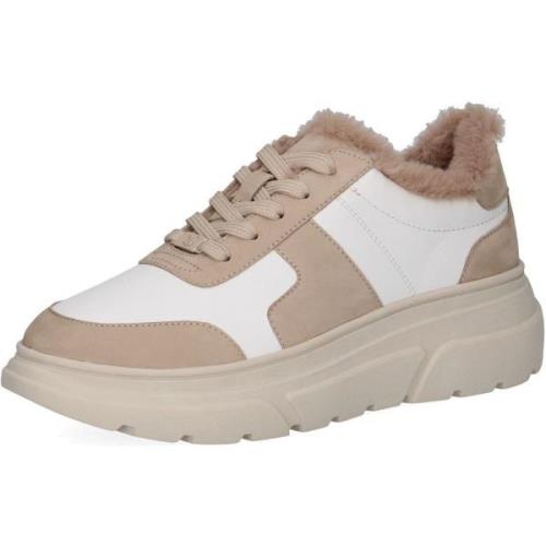 Lage Sneakers Caprice Sneaker