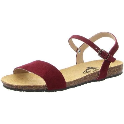 Sandalen Plakton -