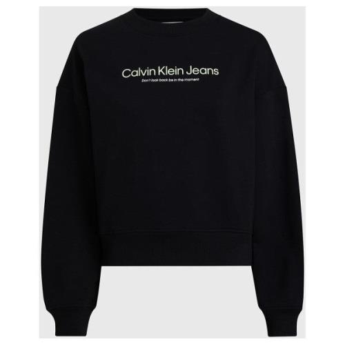 Sweater Calvin Klein Jeans J20J222549