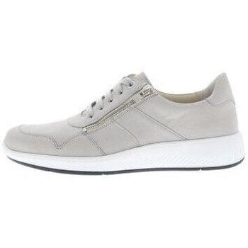 Sneakers Solidus Halea F