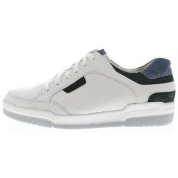 Sneakers Gijs 2135 K