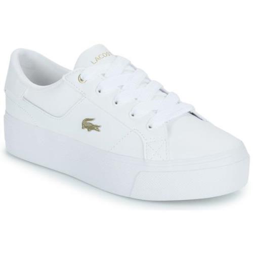 Lage Sneakers Lacoste ZIANE