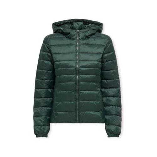 Mantel Only Noos Tahoe Hood Jacket - Scarab