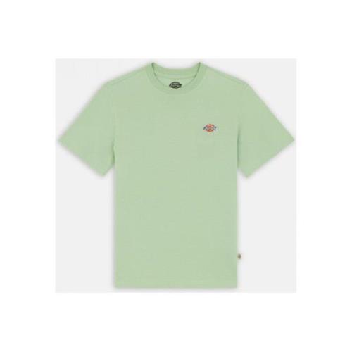 T-shirt Dickies Mapleton ss tee