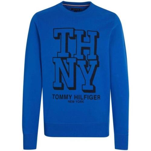 Sweater Tommy Hilfiger -