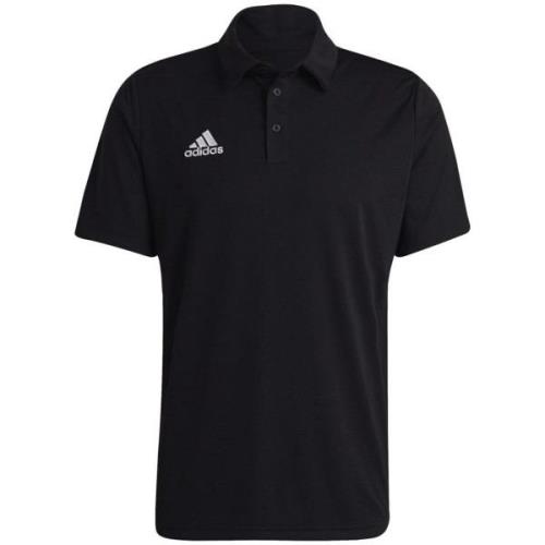 T-shirt adidas -