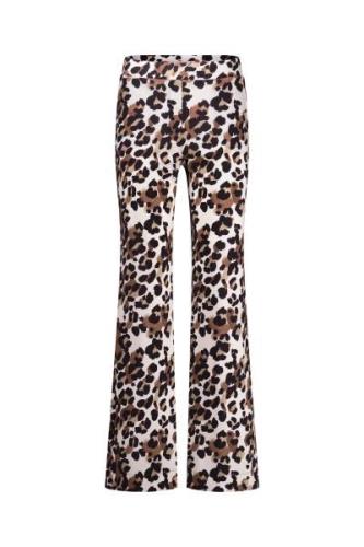 Studio Anneloes Broek Marinda Leopard Bruin dames