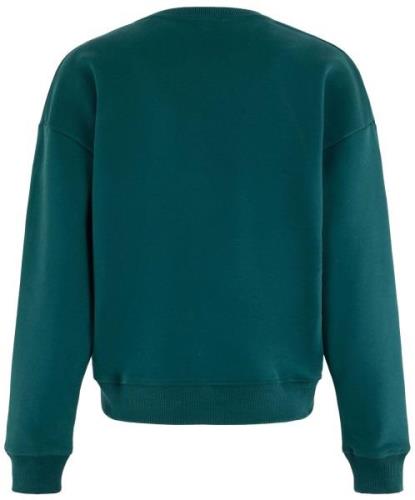 Anna Blue Sweater Blue Crew Groen dames