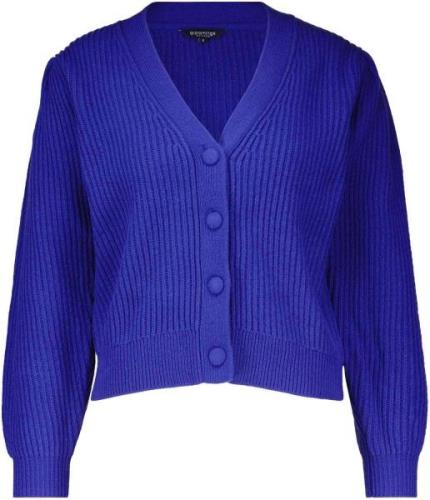 Bloomings Cardigan Blauw dames