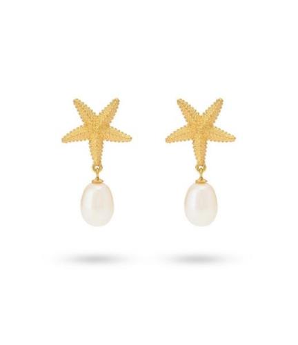 Earring Starfish And Sweetwater Pearl 42488Y