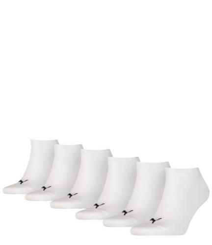 Sneaker Plain 6P 6-Pack