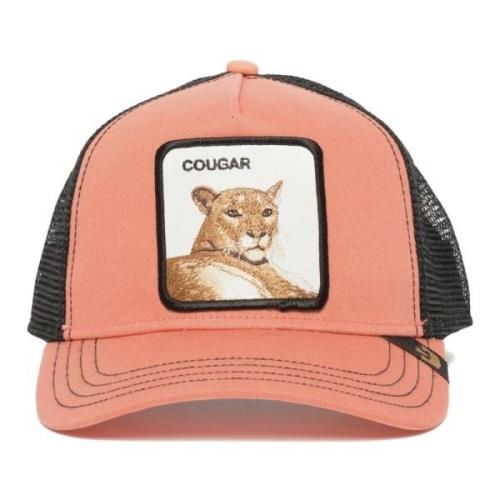 Leona de Cougar Pet Goorin Bros , Pink , Heren