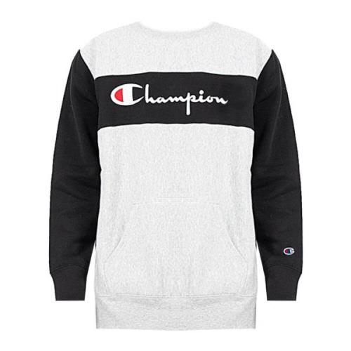 Sweatshirt Champion , Gray , Heren