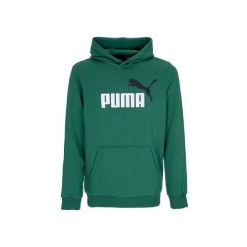 Grote Logo Hoodie in Vine Kleur Puma , Green , Heren