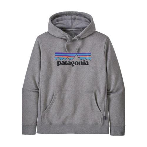 Logo Uprisal Hoody Patagonia , Gray , Heren