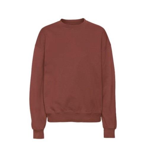 Sweatshirt Colorful Standard , Brown , Heren