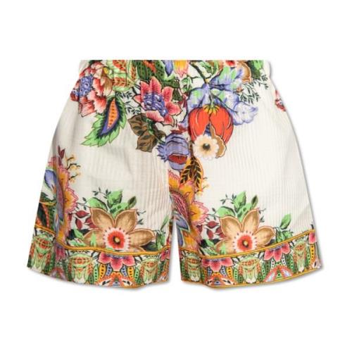 Gestreepte shorts Etro , Multicolor , Dames