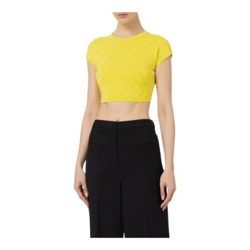 Gebreide Top Mk05B42E2 Elisabetta Franchi , Yellow , Dames