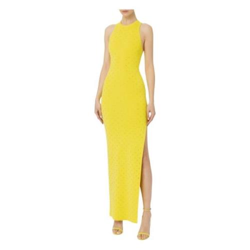 Red Carpet Gedrapeerde Cupro Jurk Elisabetta Franchi , Yellow , Dames