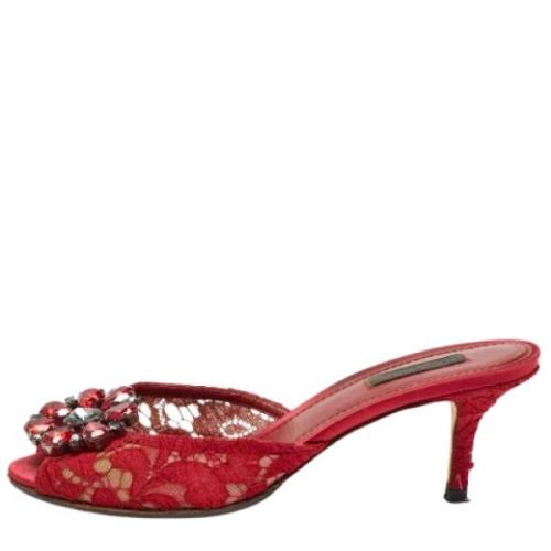 Pre-owned Lace sandals Dolce & Gabbana Pre-owned , Red , Dames