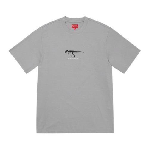 Beperkte Oplage Grijze Top Supreme , Gray , Heren