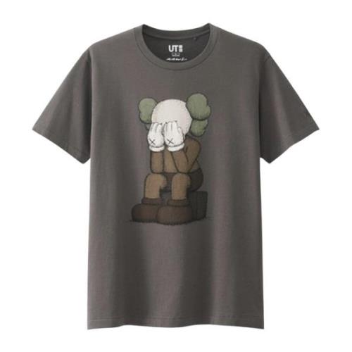 Limited Edition Passing Through Tee Bruin Kaws , Brown , Heren