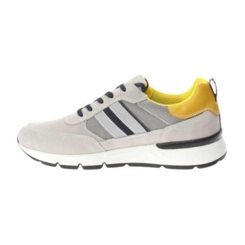 Lage Sneakers Nerogiardini , Multicolor , Heren