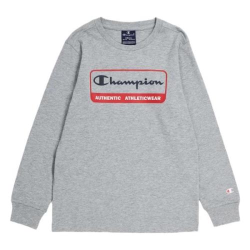 Heren Longsleeve Hoodie Champion , Gray , Heren