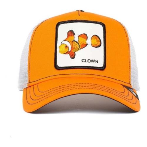 Found Him Cap Goorin Bros , Multicolor , Unisex