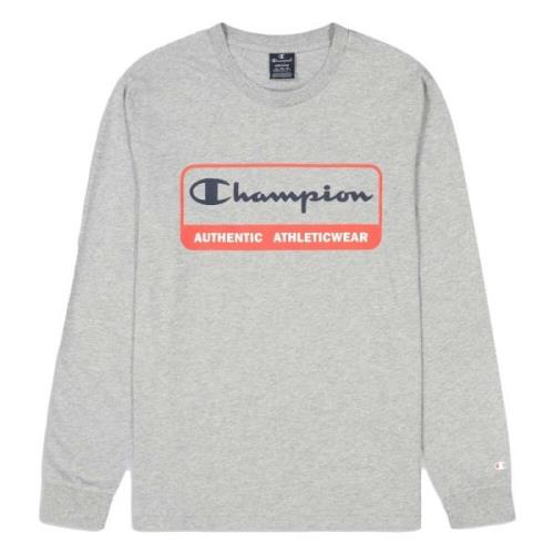 Hoodie Champion , Gray , Heren