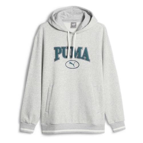 Team Hoodie Puma , Gray , Heren