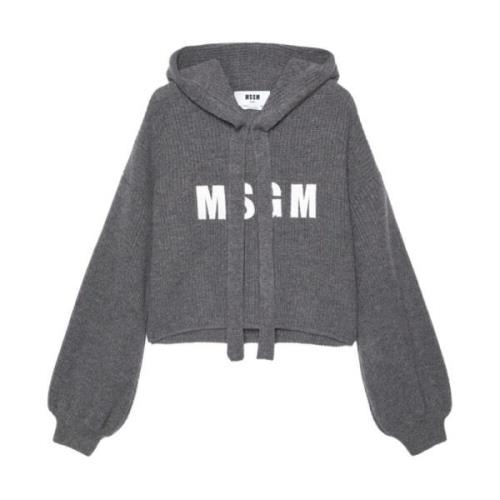 Zwarte Sweater met Capuchon en Logo Msgm , Gray , Dames