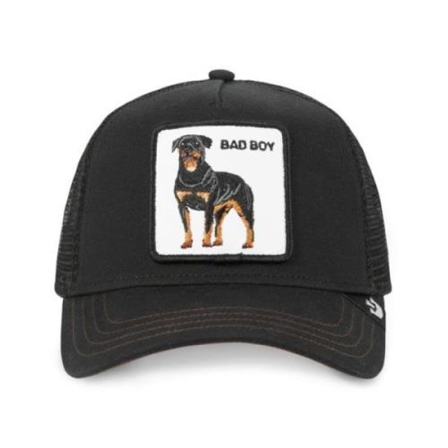 The Baddest Boy Pet Goorin Bros , Black , Unisex