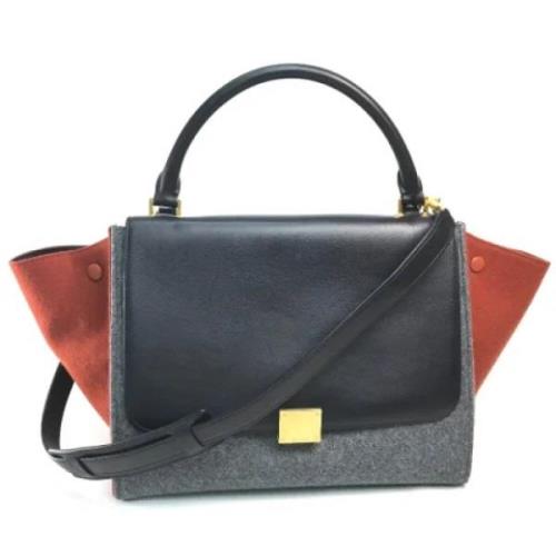 Pre-owned Leather celine-bags Celine Vintage , Gray , Dames