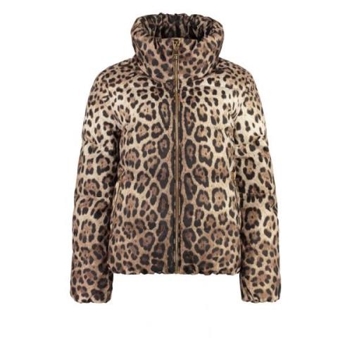 Leopard Print Kort Donsjack Dolce & Gabbana , Beige , Dames