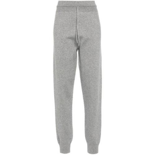 Stijlvolle Damesbroek Aw24 Fabiana Filippi , Gray , Dames